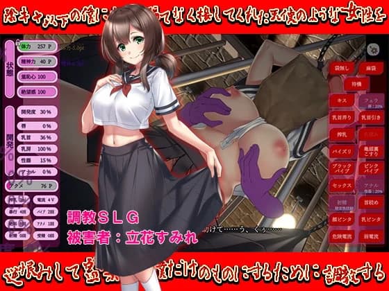 Exacting My Loner Revenge on a Perfect Angelic Girl by Sexual Training - hentai game thumbnail