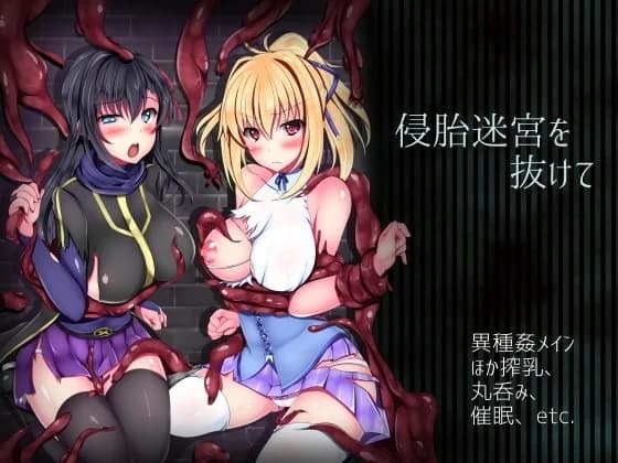 Escape from Wombraid Maze - RPG hentai game thumbnail